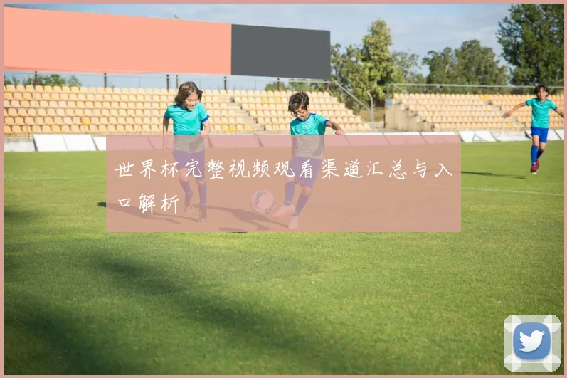 世界杯完整视频观看渠道汇总与入口解析